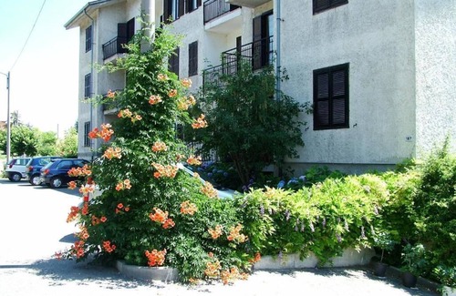 Murazzano Apartment | Cozy apartment of about 40 square meters equipped with kitchen 10 minutes from downtown
