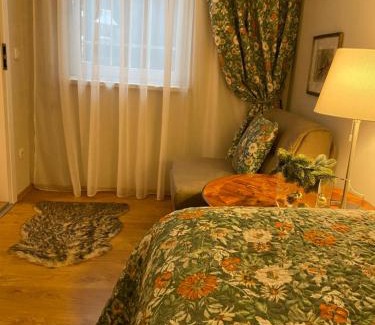 Steyr Apartment | Cozy Apartment Steyr Mitte, ruhig, Parkplatz, Terasse, 2 Schlafzimmer, WLAN
