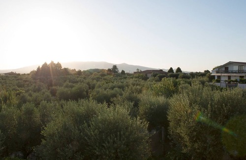 Giulianello Bed & Breakfast | Cozy B&B in the countryside with BBQ area and swimming-pool - Pet-friendly