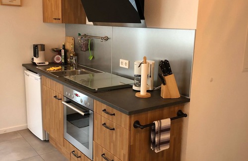Segnitz Apartment | Cozy barrier-free FEWO in new building directly between vineyards and the Main river