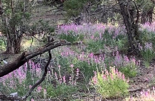 Duchesne Other | Cozy Bell Tent Surrounded by Nature in Duchesne, Utah