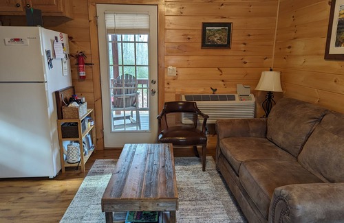 Schuyler Cabin | Cozy cabin for 2 w/great mt views & walking trails!
