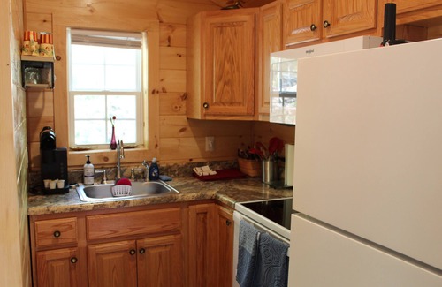 Schuyler Cabin | Cozy cabin for 2 w/great mt views & walking trails!