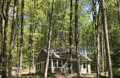 Traverse City Cabin | Cozy cabin in our private woods, close to a bike trail, winery, and lakes
