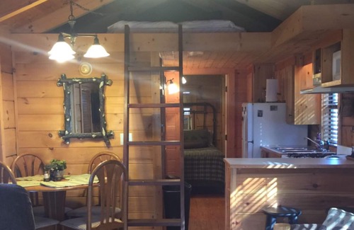 Bear Cliff Cabin | Cozy Cabin on Lake James with Private Beach and Boat Dock
