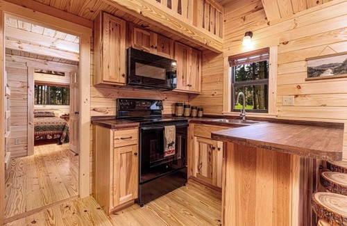 Hector Cabin | Cozy Cabin on Seneca Wine Trail Vineyard View 1