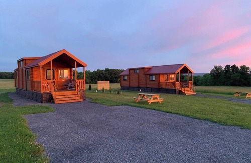 Hector Cabin | Cozy Cabin on Seneca Wine Trail Vineyard View 1