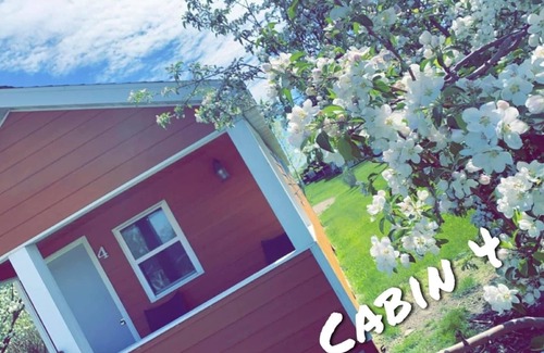 Napoleon Cabin | Cozy cabin. Sleeps 2-4. Kitchenette and Wi-Fi available.