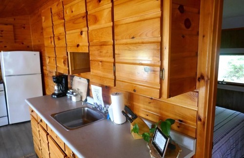 Whitestone Cabin | Cozy cabin with a lake front view.