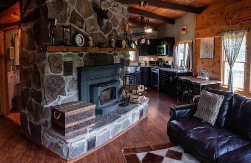 Fleischmanns House | Cozy cabin with great views and fire place!