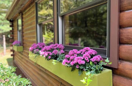 New Paltz Cabin | Cozy cabin with Mohonk Preserve access, wifi, AC, and adjacent studio building