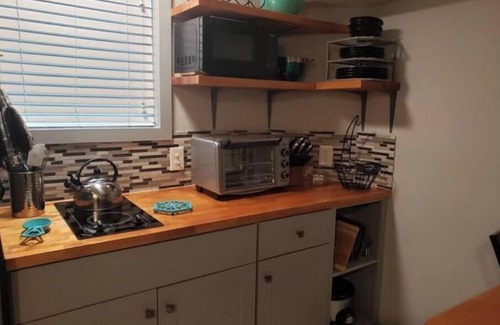 Newnan Apartment | Cozy Camellia in Historic Downtown Newnan