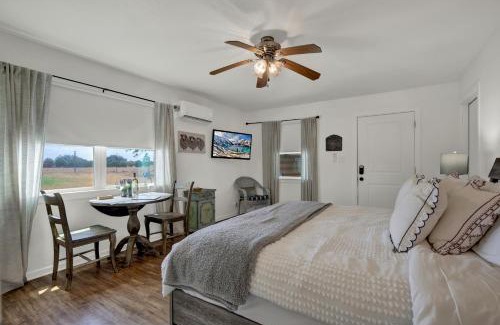 Stonewall House | Cozy Casita! In Texas Famous 290 Winery Corridor!