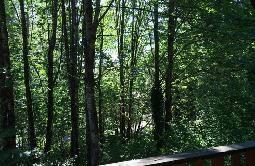 Warnick Cabin | Cozy Cedar Cabin ~ Hot Tub, Fireplace, Pool Table, Wi-Fi, Fire Pit, Pet Friendly