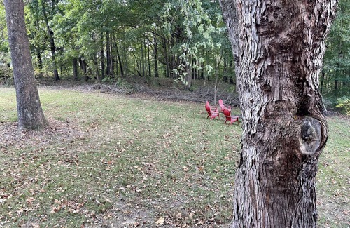 Farmers Cabin | Cozy, Comfy Cabin minutes from Cave Run Lake, I-64, App Harvest, and Morehead.
