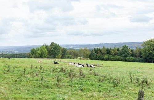 Trois-Ponts House | Cozy Cottage, Basse-Bodeux