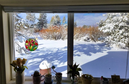 La Pine House | Cozy cottage with river access and great outdoor adventures