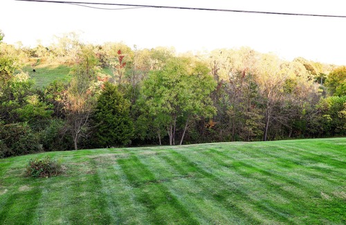 Williamstown House | Cozy escape minutes from The Ark!