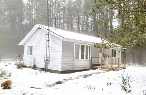 Dysart et al Cabin | Cozy family cabin in the forest