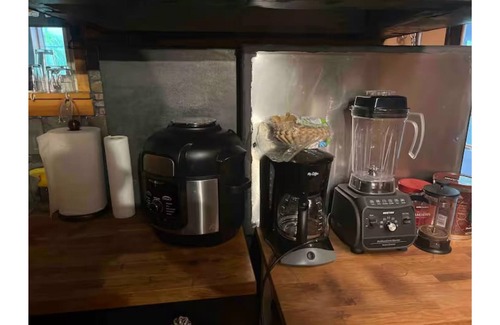 Northwest Apartment | Cozy family suite pets WLKM near Zoo UDC Hillwood