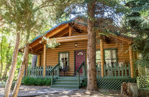 Sandy Cottage | Cozy Forest Cottage