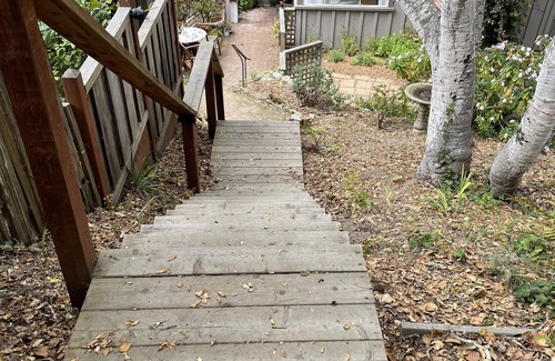 Pacific Grove Cottage | Cozy get-away in Pacific Grove (Pet Friendly!)