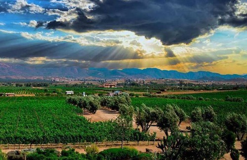 Buenaventura House | Cozy Habitación en el Jardín