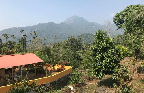 Lakkidi House | Cozy Heaven
