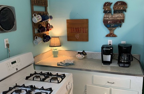 Norfolk House | Cozy Historic Beach House only Steps Away from Beach and Fishing Pier!