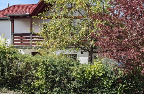 Heidenheim an der Brenz Condo | Cozy holiday apartment with patio at the edge of the forest