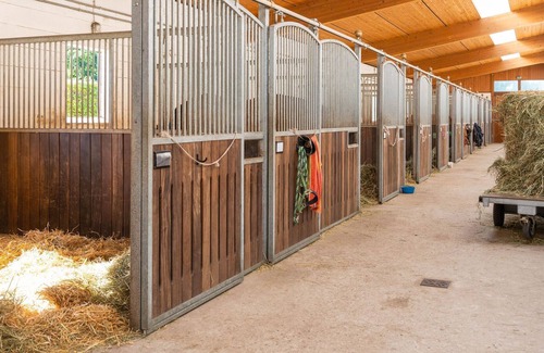 Eschede House | Cozy holiday home on a horse farm in the Lüneburg Heath