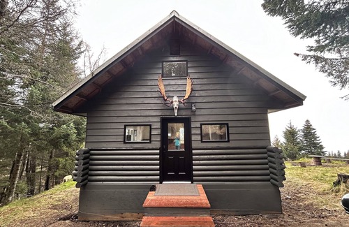 Homer Cabin | Cozy home with a view, newly remodeled.