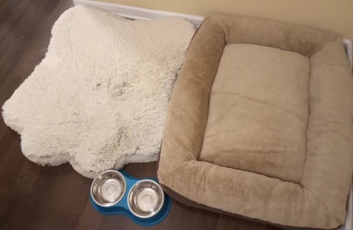 South Gate House | Cozy Home with Relaxing Views - 10 mins. to BWI