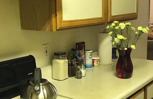 Bethesda Apartment | Cozy, homey, cute place walking to train and buses