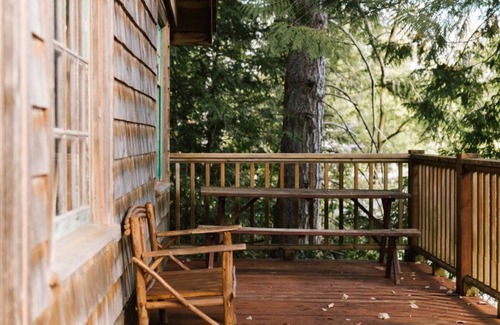 Maple Valley Cabin | Cozy lakeside cabin! Rustic retreat w/private dock- Pet Friendly!
