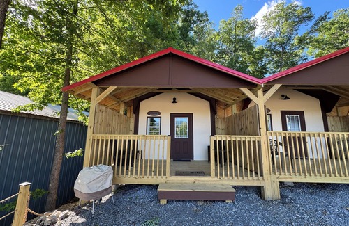 Dandridge Cabin | Cozy Lakeside Cabin 1 Minute Walk From Ship Store & Boat Slips! Rocky