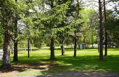 Stone Mills House | Cozy lakeside cottage-breathtaking views & fishing