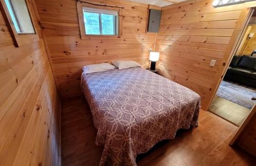 Bitely House | Cozy Lakeside Log Cabin with Kayaks & Arcade Access near Trails in Bitely, Michigan