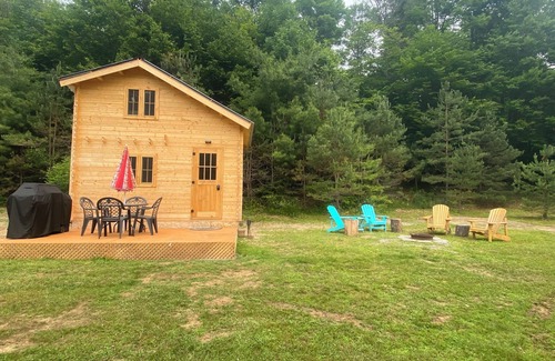 Weslemkoon Cabin | Cozy Loft Pine Cabin with Lake and Crown Land Access | Pond Views | Dog-Friendly
