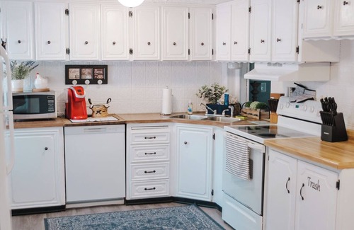 La Follette House | Cozy mountain view home just minutes to Powell Valley Marina at Norris Lake