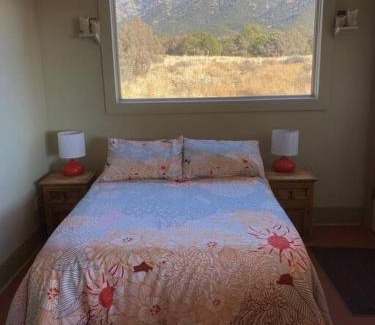 Baca Grande House | COZY PEACEFUL WILLOW CREEK CABIN