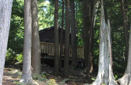 Saranac Lake Cabin | Cozy pet friendly cabin for two - 3 miles from Saranac Lake - access to lake