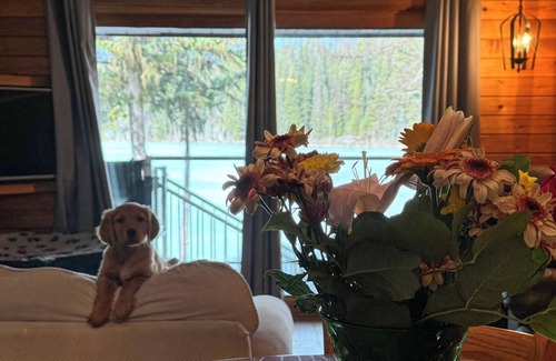 Idabel Lake Cabin | Cozy Pet-Friendly Cabin at Idabel Lake - Two bedrooms, sleeps 6, close to skiing