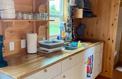 Montrose Cabin | Cozy pet friendly tiny home in Richmond!