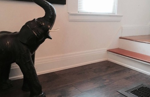 Englewood House | Cozy Private"B" Bedroom Kitchen Wifi