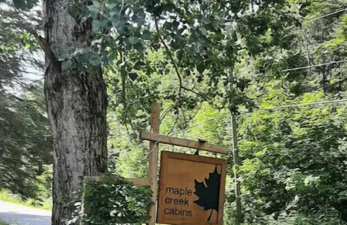 Algonquin Highlands Cabin | Cozy private cabin in stunning Dorset. 2 min to swim/hike/snowmobile/skate/ski!,
