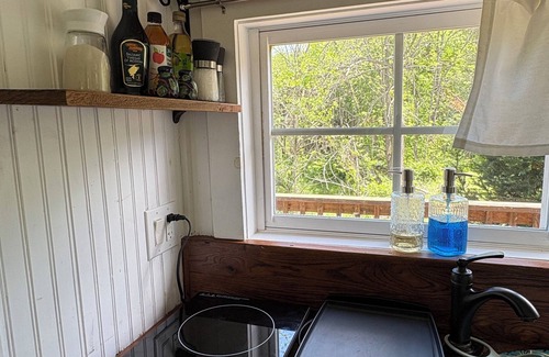 Leicester Cottage | Cozy Private cottage in Asheville with WiFi, AC- minutes to fun!
