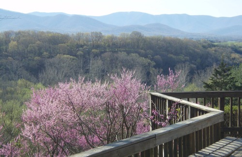 Luray Cabin | Cozy Romantic Cabin with Fantastic Views of the Blue Ridge