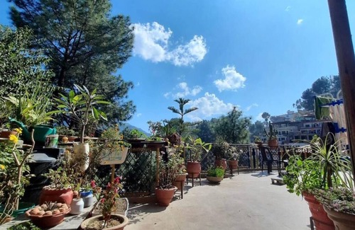 Deoghat Apartment | Cozy Solan Apartment with Stunning Views