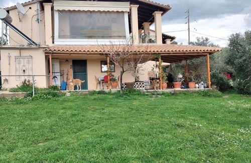 Raches Apartment | Cozy studio apartment in the middle of a large garden. Have dogs.